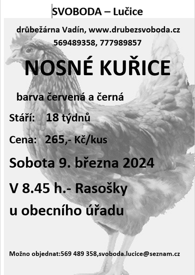 Kuřice Svoboda-Lučice 9.3.2024.png